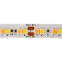 LED-Lichtband White 3000K DTW - Candlelight dimming > 1900K, 24V, 10mm breit - wärmeres Licht beim dimmen