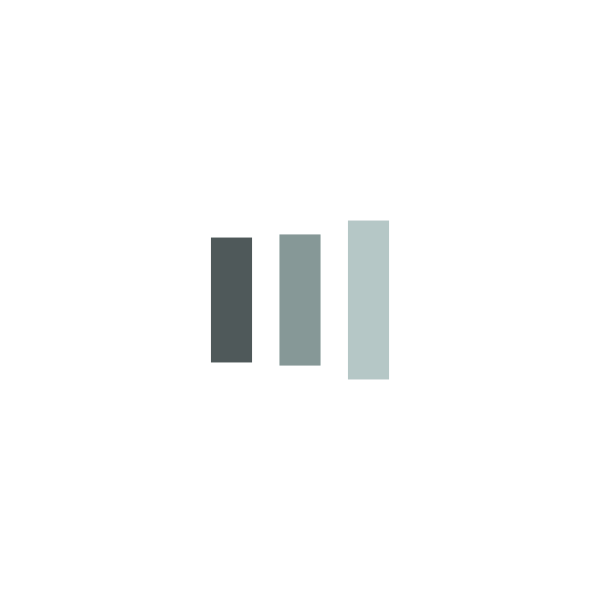 Clarico-Slider Style 4